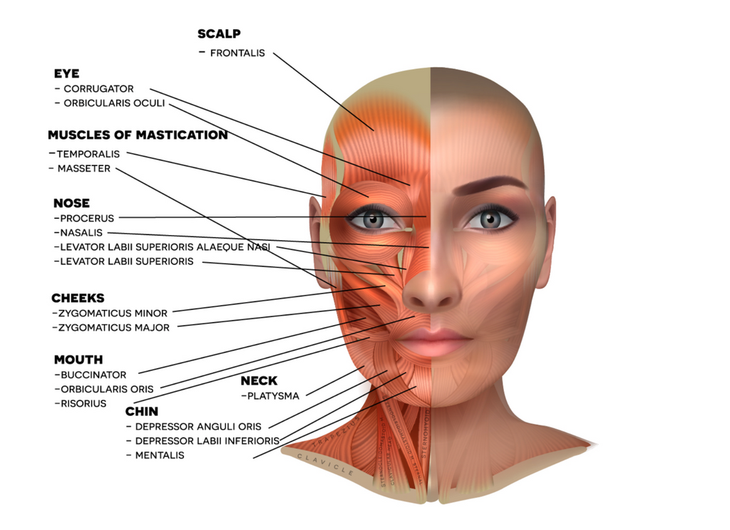 The Kinesiology Tape Facelift