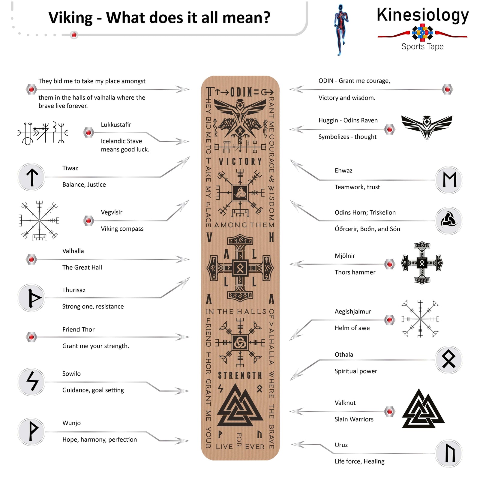 Viking explainer poster for the vertical beige design, translating Odin, Thor, the Valknut and every rune printed down the strip